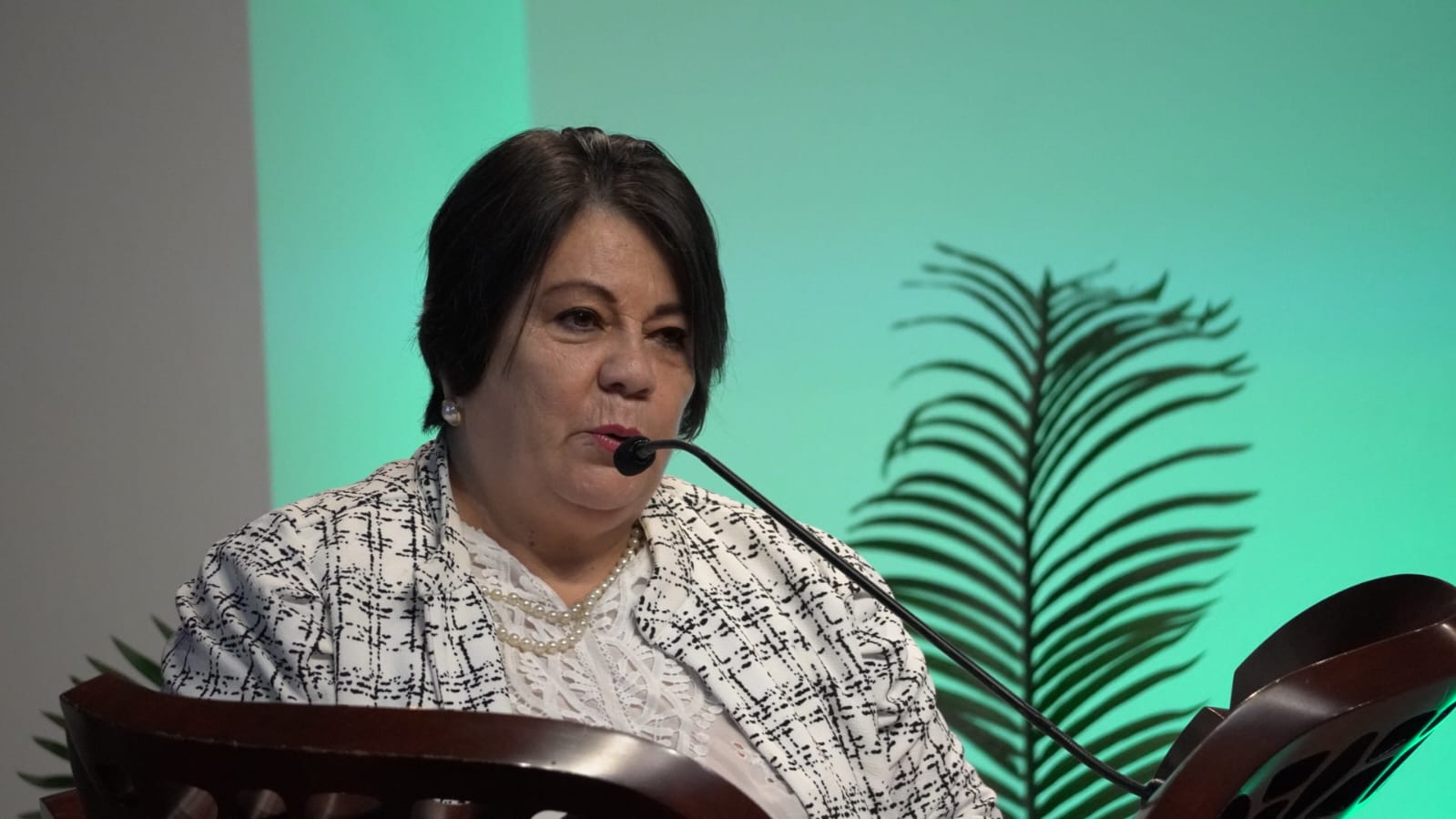 Ing. Rita Arce L., Presidenta de la JDG del CFIA.